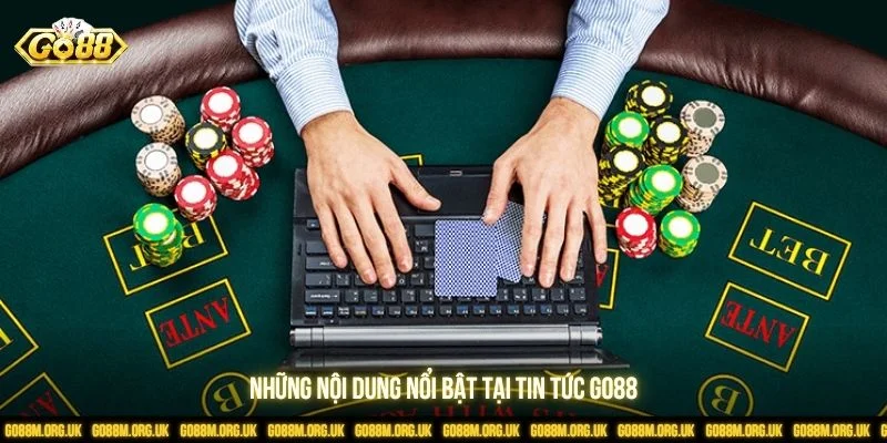 Chuyên mục được xây dựng nhằm cung cấp thông tin đa chiều