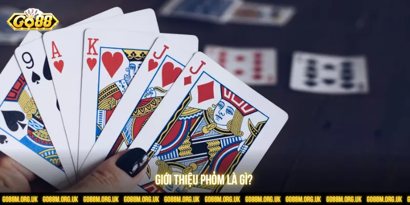 Giới thiệu phỏm là gì?