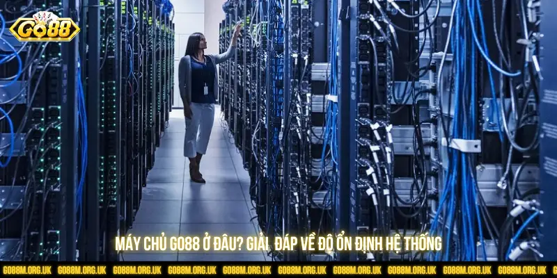 Máy chủ GO88 ở đâu? Giải đáp về độ ổn định hệ thống