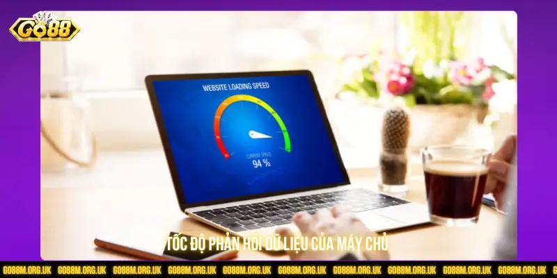 Tốc độ phản hồi dữ liệu của máy chủ